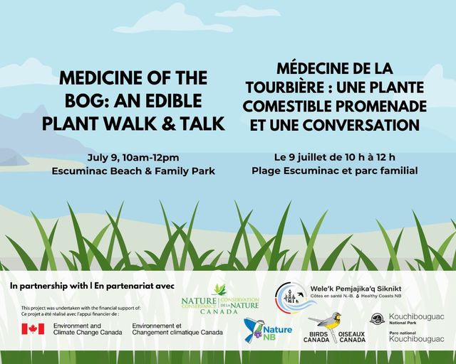 Médecine de la tourbière : Une plante comestible promenade et une conversation